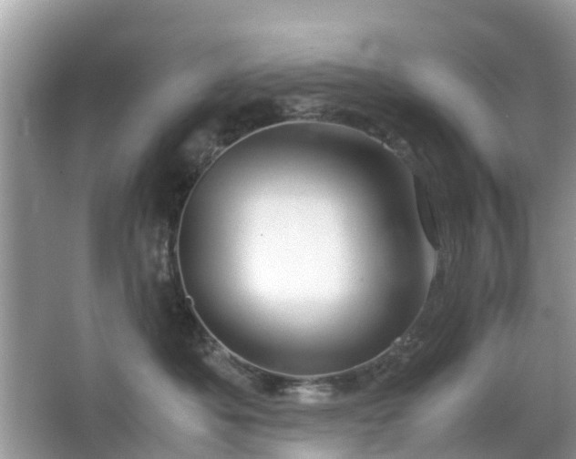 X0000063520525200601231519