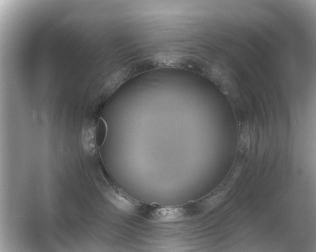 X0000063520526200601231519