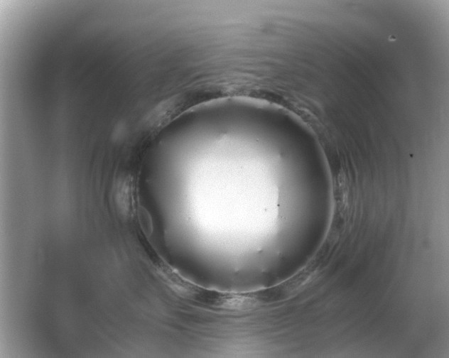 X0000063520527200601231519