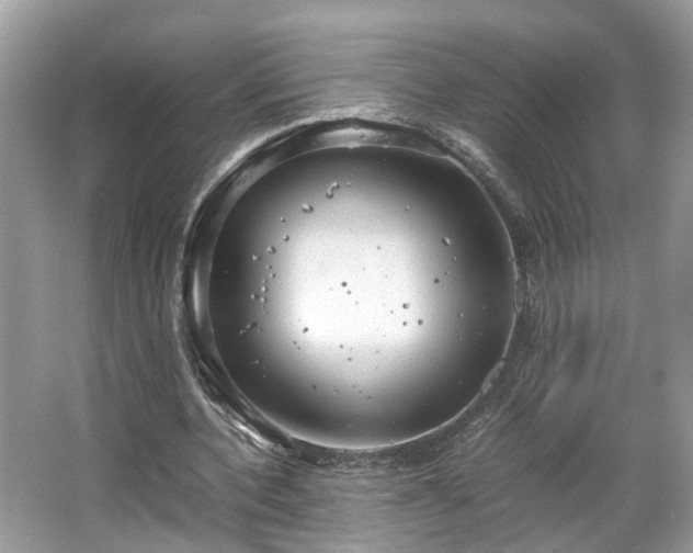 X0000063520532200601231518