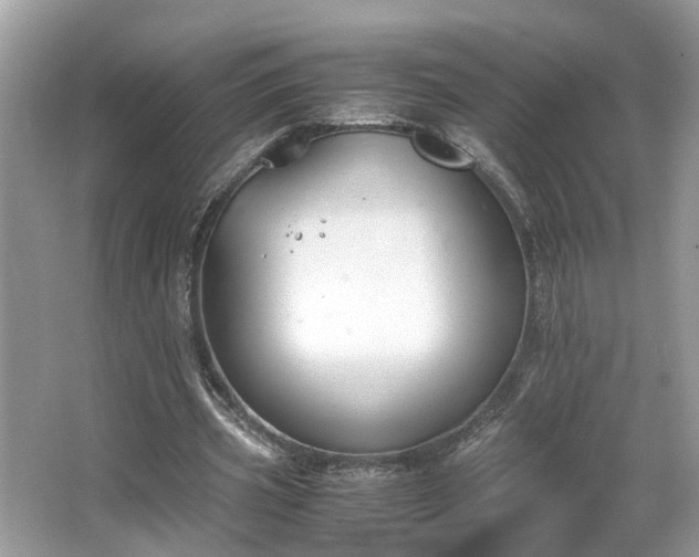 X0000063520533200601231518