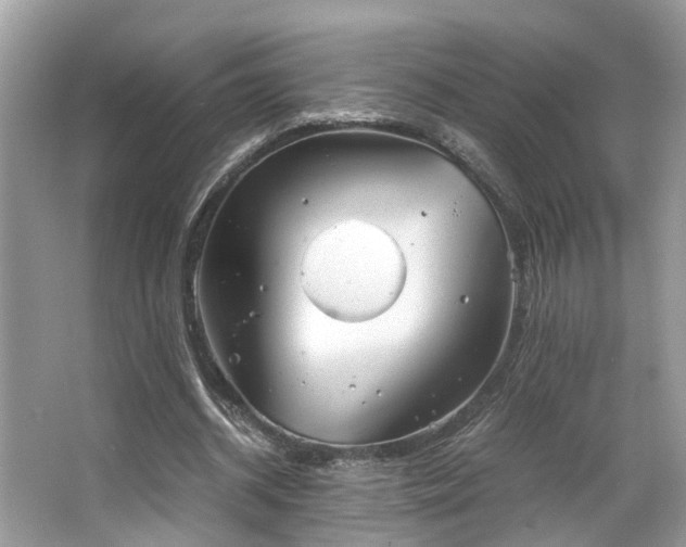 X0000063520534200601231518