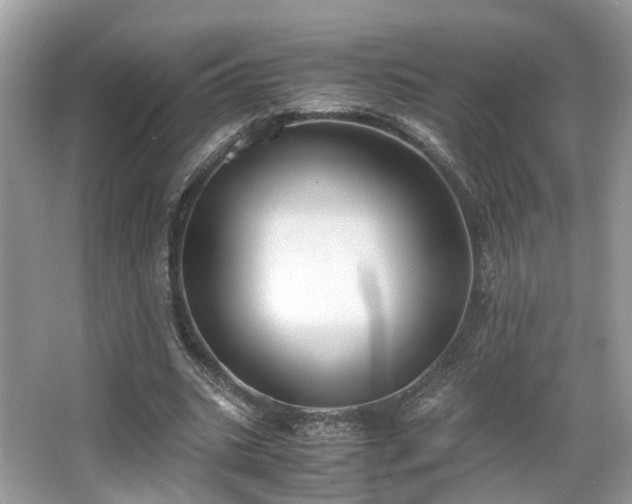 X0000063520535200601231518