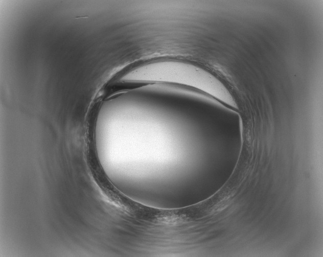 X0000063520540200601231518