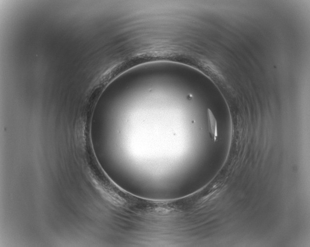 X0000063520542200601231518