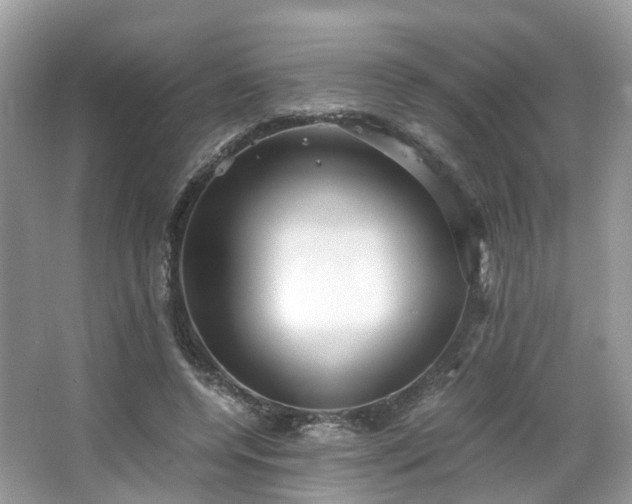 X0000063520544200601231518