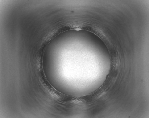 X0000063520545200601231518