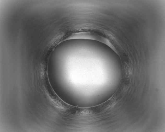 X0000063520546200601231518