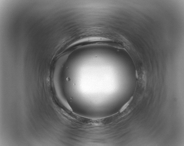 X0000063520552200601231518