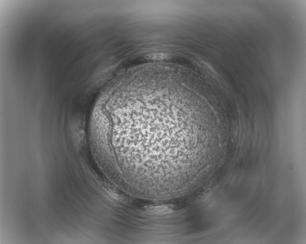 X0000063520553200601231518