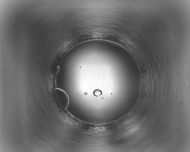 X0000063520554200601231518