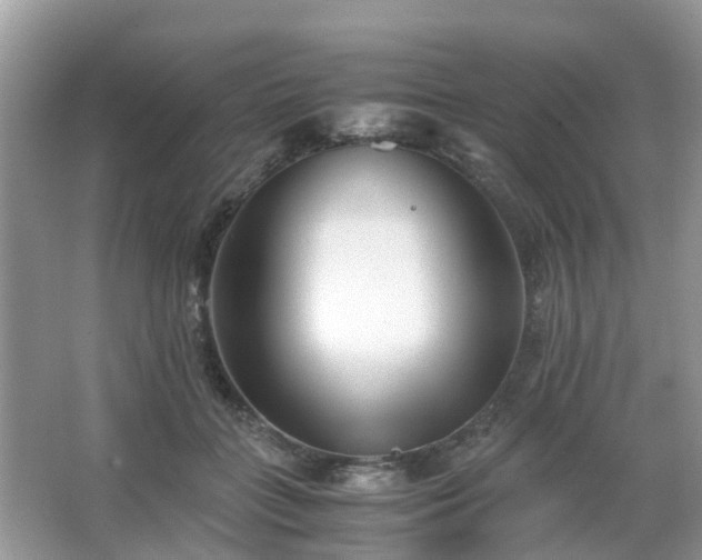 X0000063520555200601231518