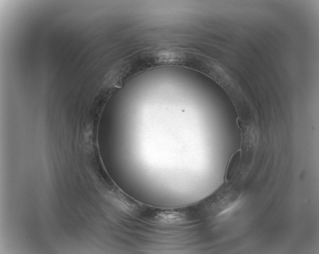 X0000063520557200601231518