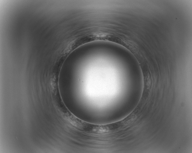 X0000063520559200601231518