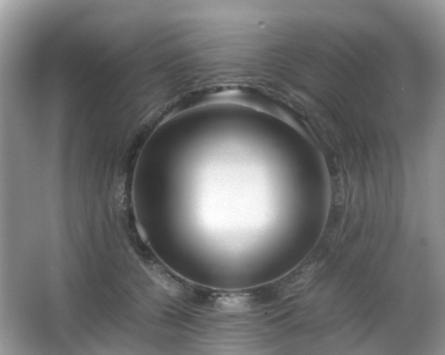 X0000063520560200601231518