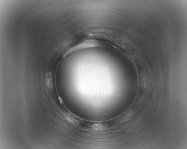 X0000063520562200601231518