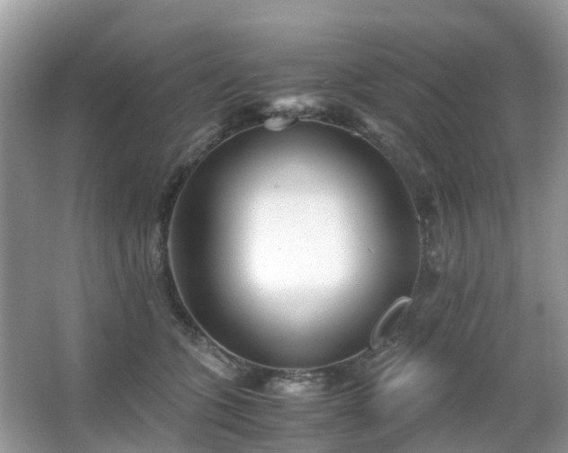 X0000063520563200601231518