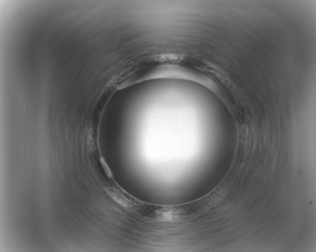 X0000063520564200601231518