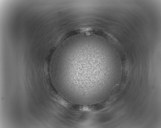 X0000063520565200601231519