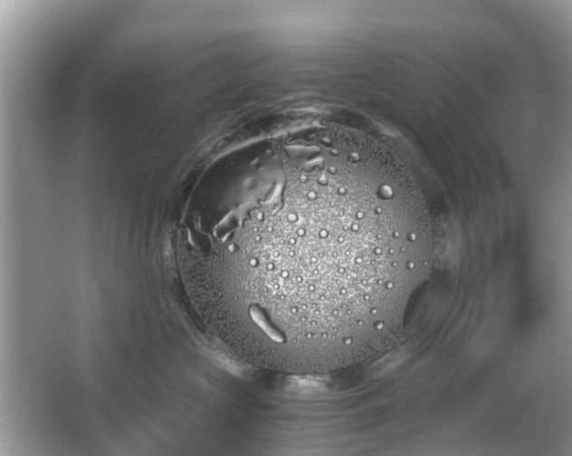 X0000063520573200601231519