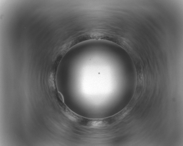 X0000063520575200601231519