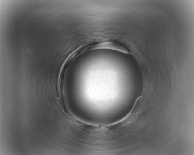 X0000063520576200601231519