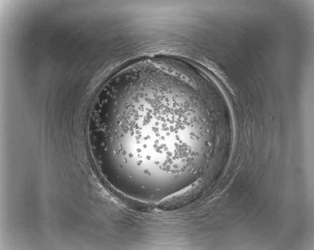 X0000063520577200601231518