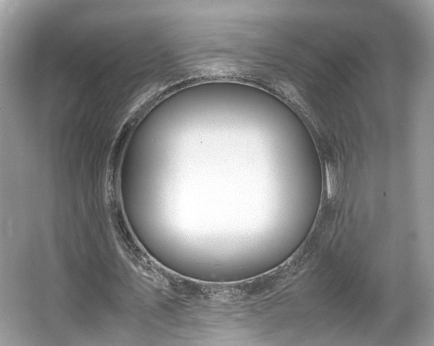 X0000063520579200601231518