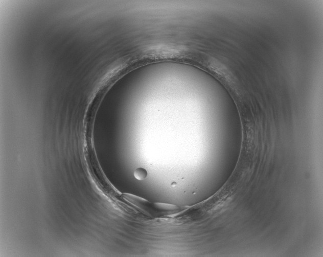 X0000063520582200601231518