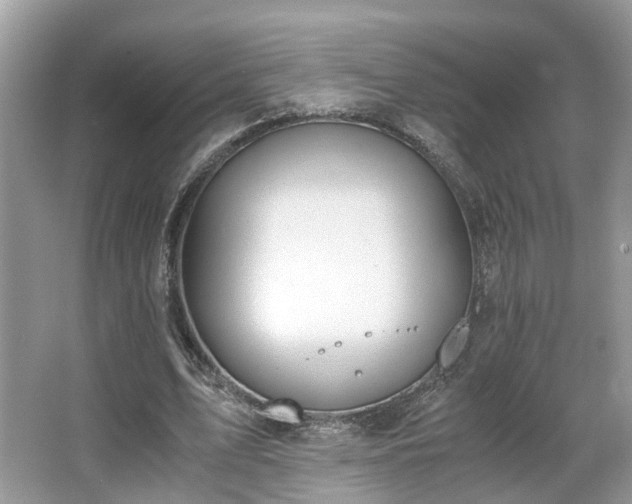 X0000063520583200601231518