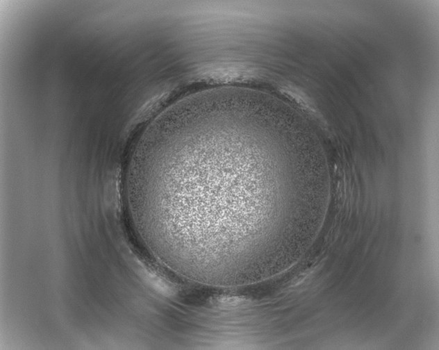 X0000063520590200601231518