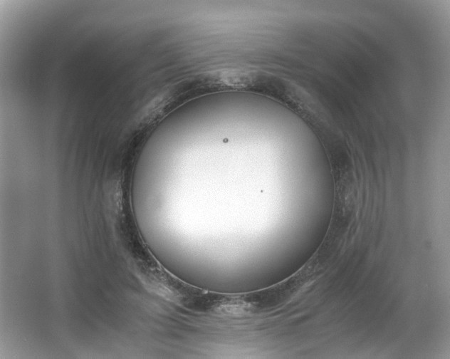 X0000063520595200601231518