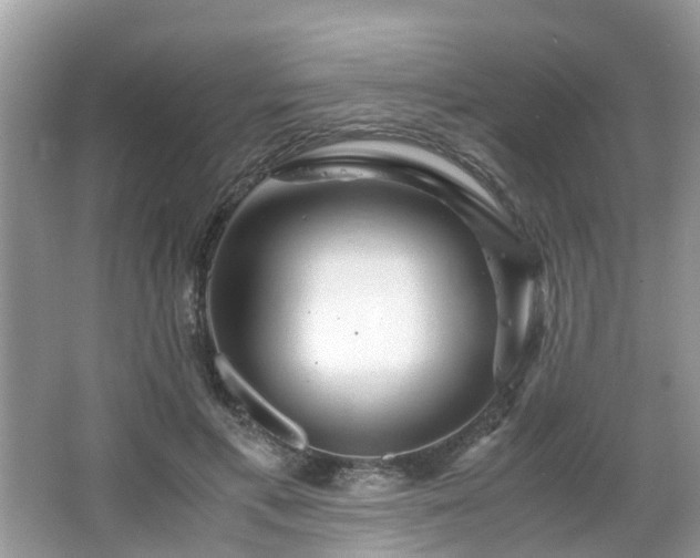 X0000063520597200601231518