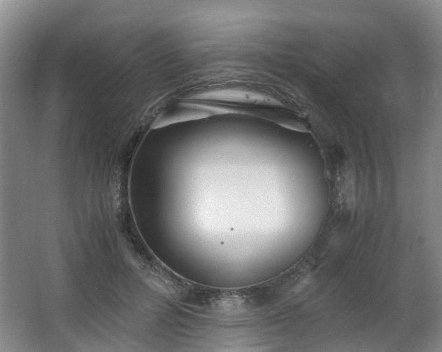 X0000063520600200601231517