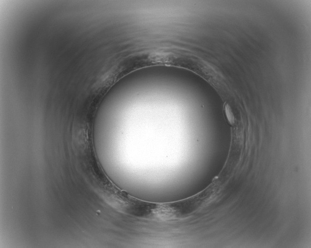 X0000063520603200601231517