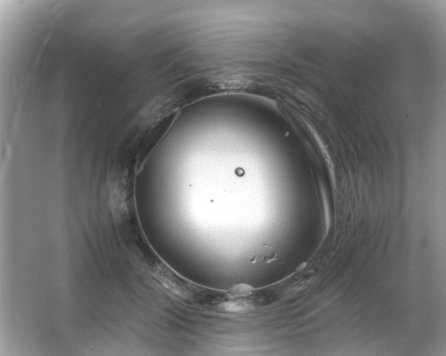 X0000063520604200601231517