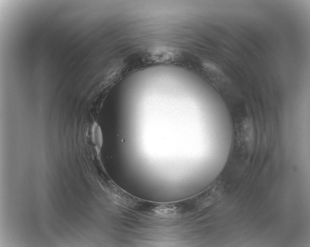 X0000063520606200601231517