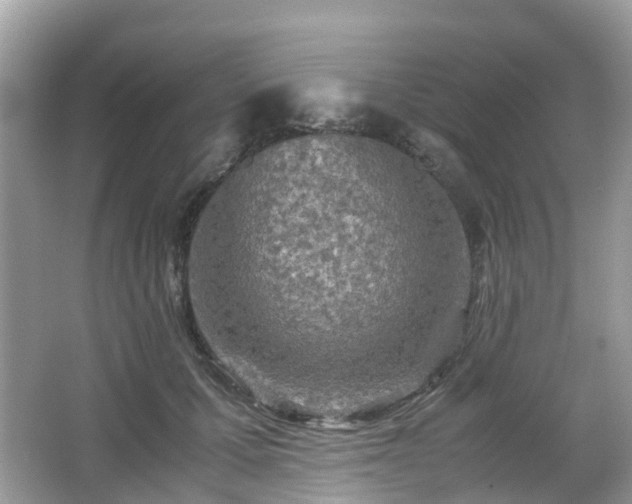 X0000063520607200601231517