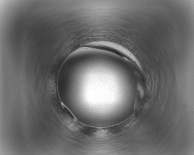 X0000063520609200601231517