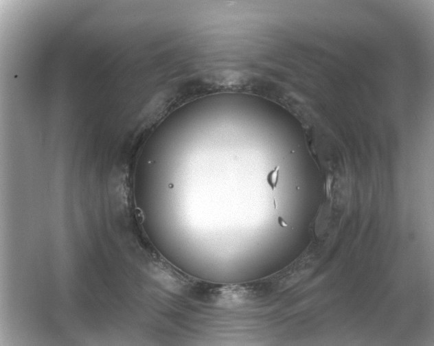 X0000063520612200601231517