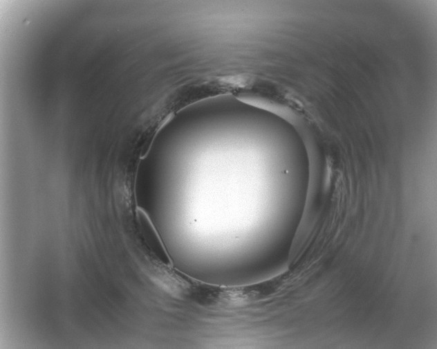 X0000063520613200601231517