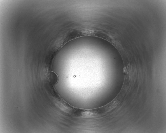 X0000063520614200601231517