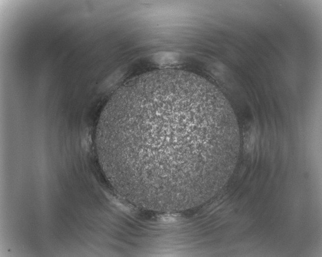 X0000063520618200601231517