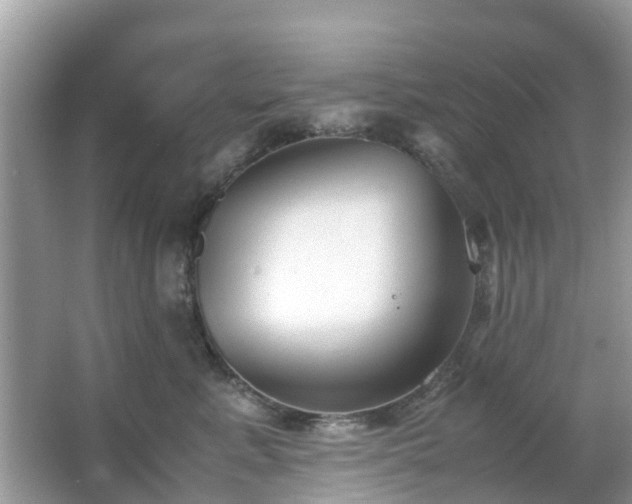 X0000063520619200601231517