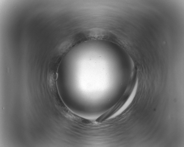 X0000063520623200601231517