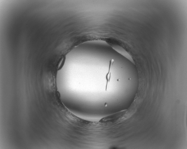 X0000063520624200601231517