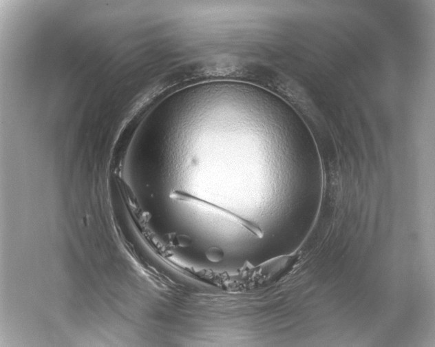 X0000063520626200601231516