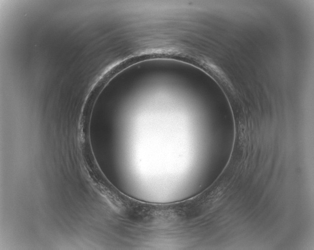 X0000063520628200601231516