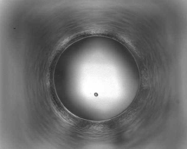 X0000063520631200601231516