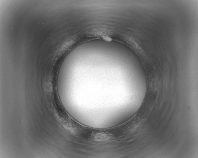 X0000063520635200601231516